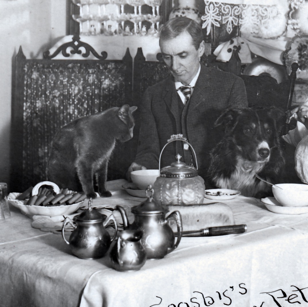 Crosby's Hungry Pets rppc detail